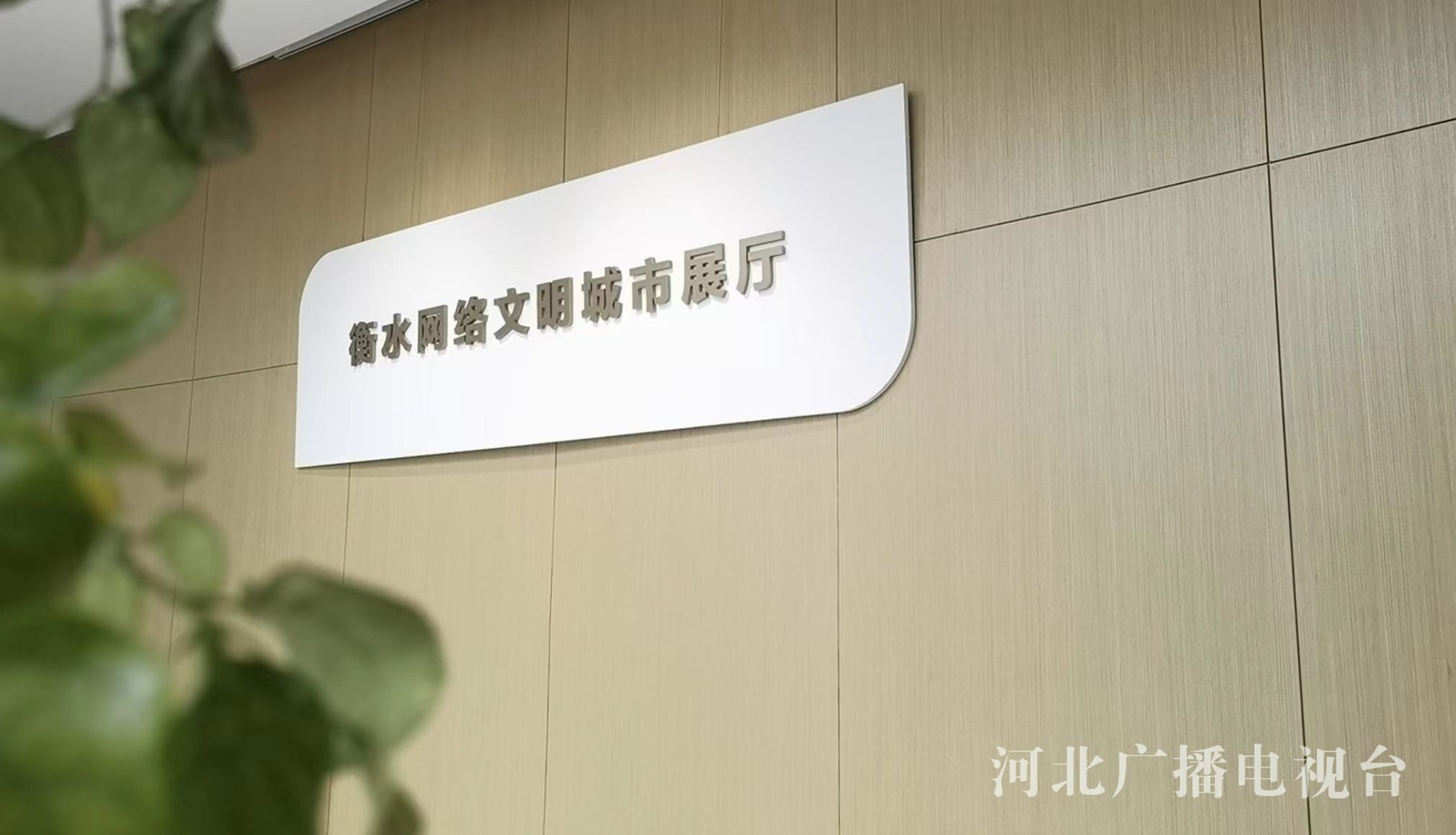 威斯尼斯WNS888APP網站河北省首家搜集文雅重心展厅正式对外怒放